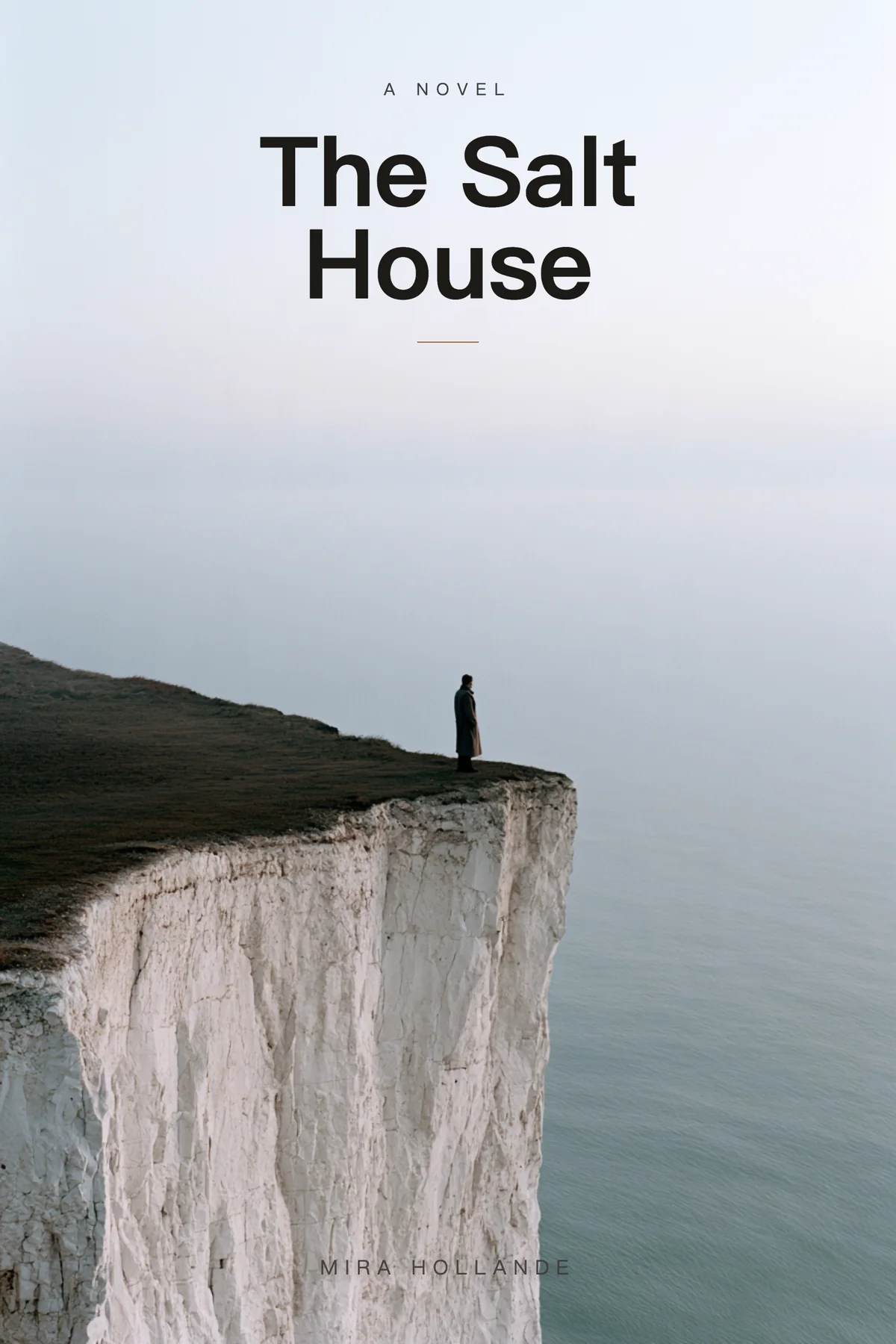 The Salt House — literary thriller book cover with fog over coastal cliffs