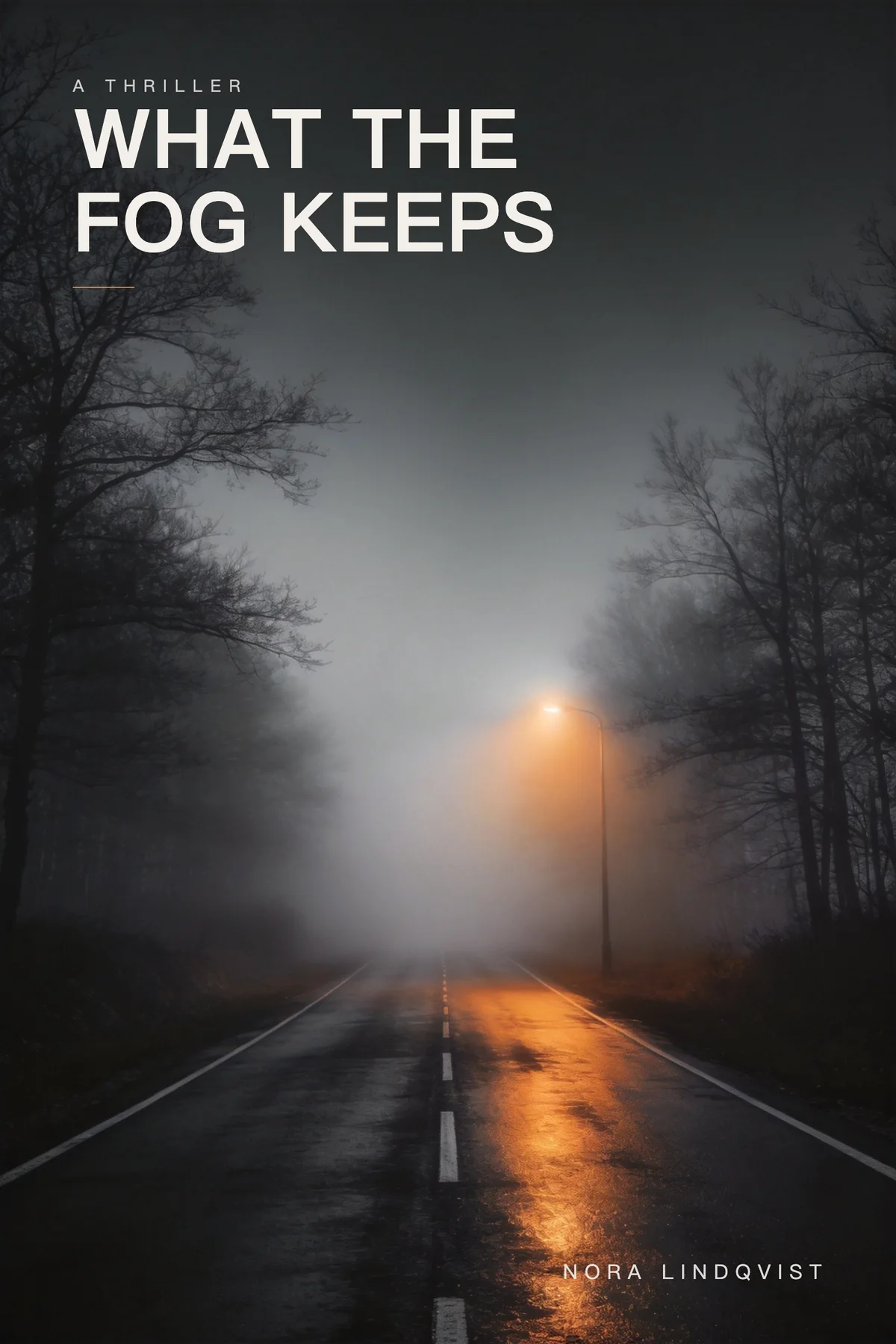 What the Fog Keeps — atmospheric mystery book cover