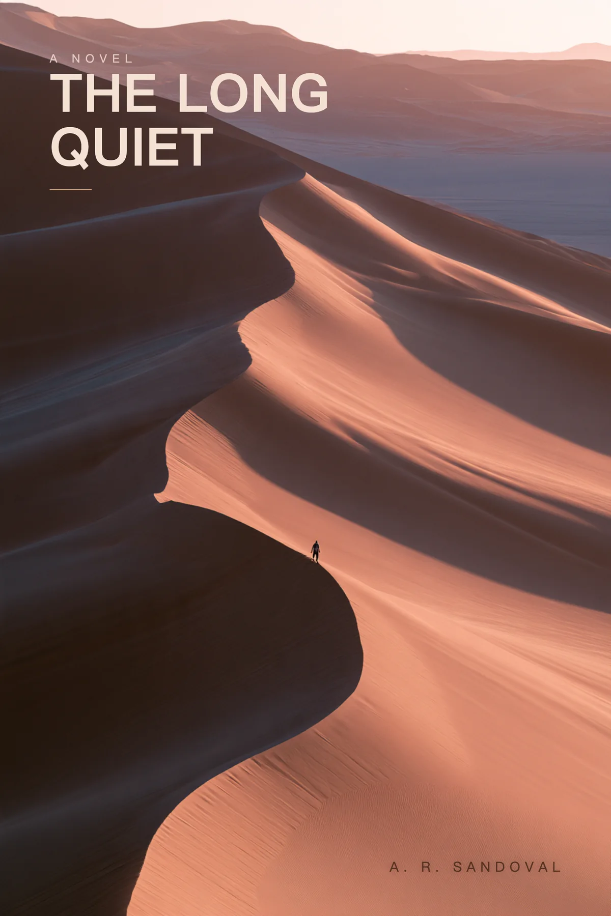 The Long Quiet — minimalist literary fiction book cover